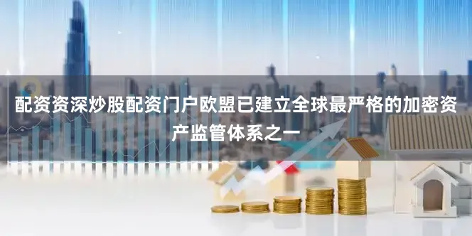 配资资深炒股配资门户欧盟已建立全球最严格的加密资产监管体系之一
